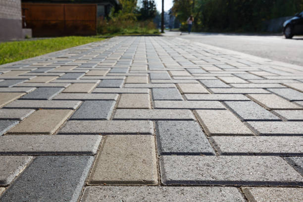 Best Professional Driveway Pavers  in Fruitland Park, FL