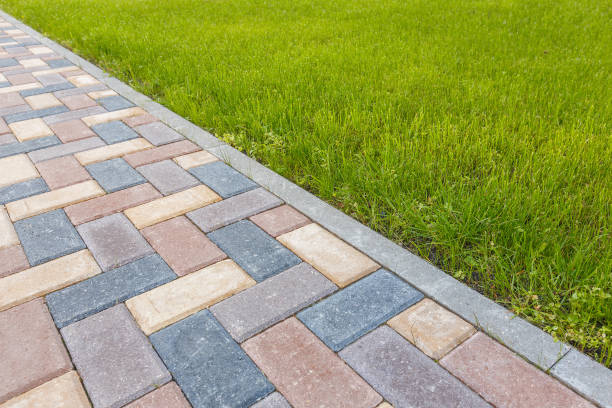 Best Custom Driveway Pavers  in Fruitland Park, FL